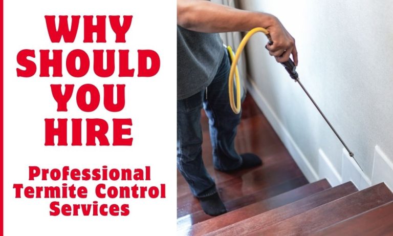 Why Should You Hire Professional Termite Control Services
